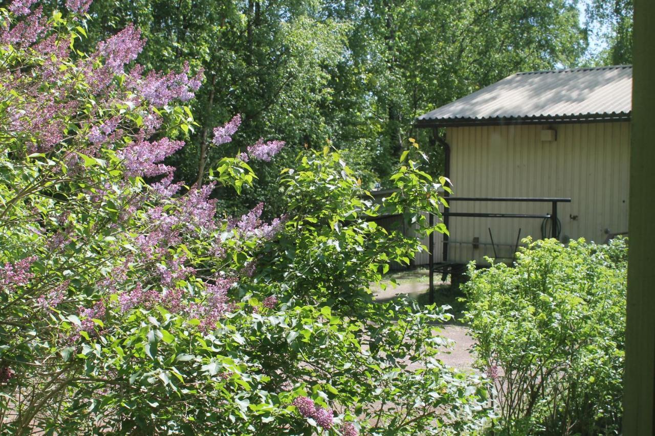 - Kuin Kotonaan Kotka